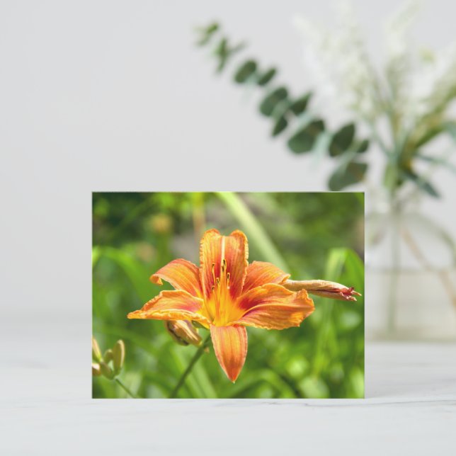 Cute big Lily flower photo Postcard (Standing Front)