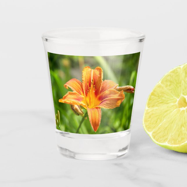 Cute big Lily flower photo Shot Glass (Front)