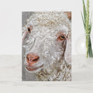 cute billy goat birthday card