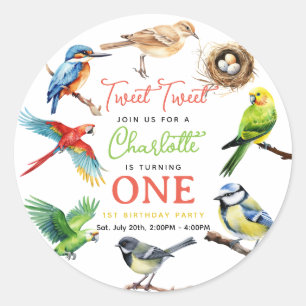 Cute Bird 1st Birthday Party Classic Round Sticker