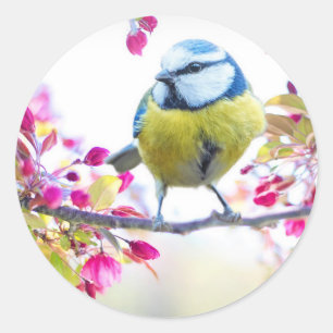 Cute Bird Classic Round Sticker