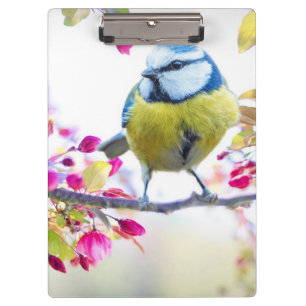 Cute Bird Clipboard