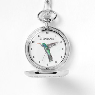 Cute Bird Hummingbird Flower Colibri Nature Watch