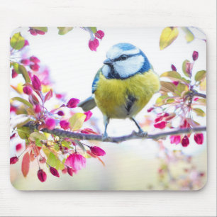 Cute Bird Mouse Mat