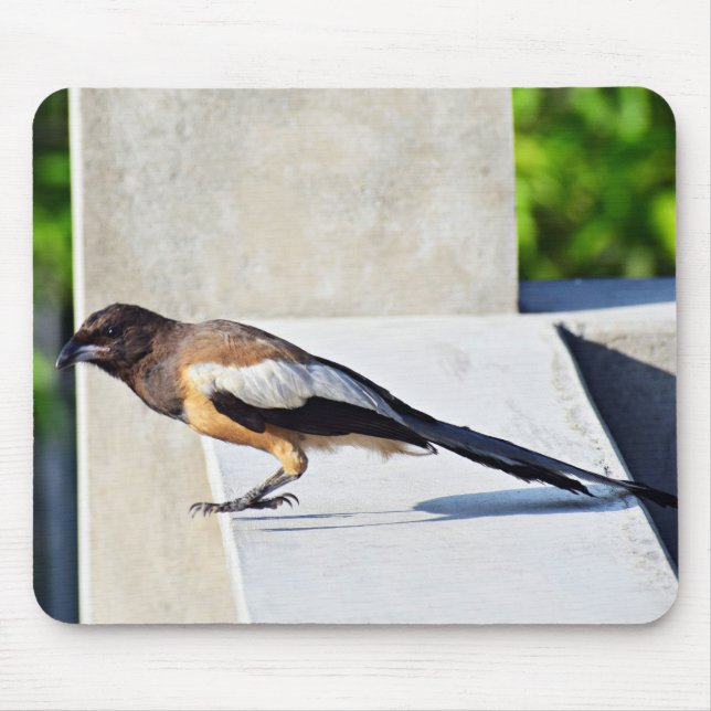 Cute Bird Mouse Mat (Front)