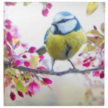 Cute Bird