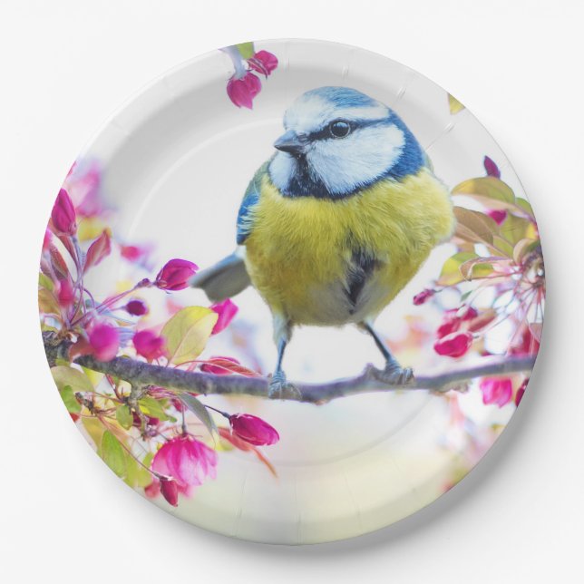 Cute Bird Paper Plate (Front)