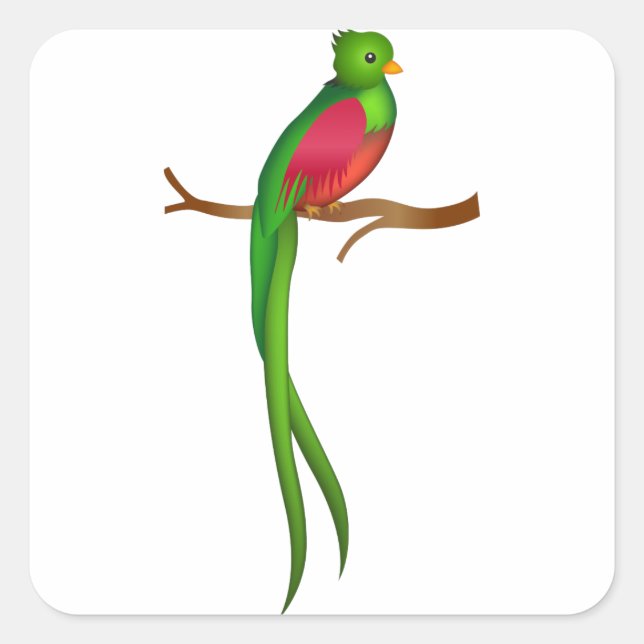 Cute bird Quetzal Square Sticker (Front)