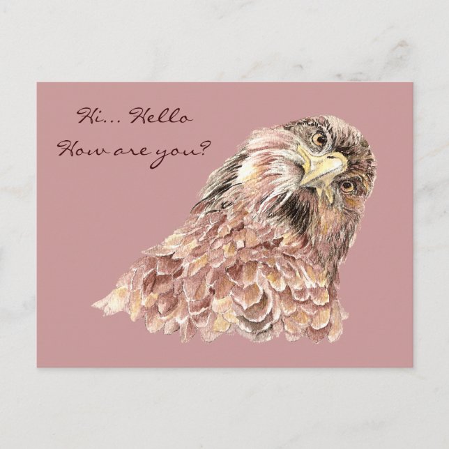 Cute Bird Saying What Funny Animal Custom Postcard (Front)