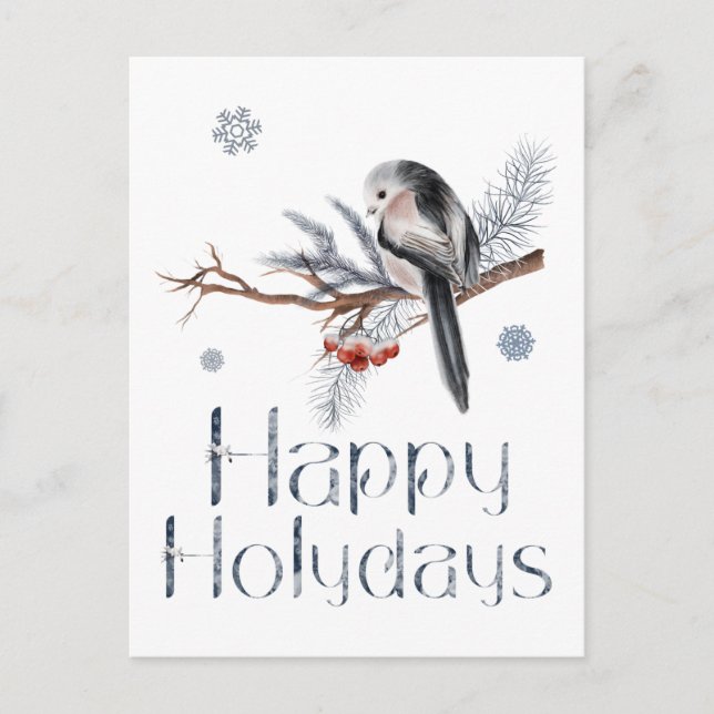 Cute Bird Sits On A Pine Branch Postcard (Front)
