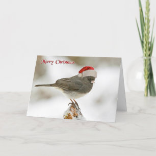 Cute Bird With Santa Hat Merry Christmas Holiday Card