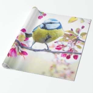 Cute Bird Wrapping Paper