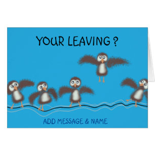 Cute Birds