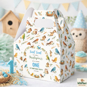 Cute Birds 1st Birthday Party – Fun Kids Favour Box