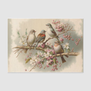 Cute Birds on a Branch Tissue Paper