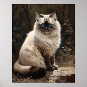 Cute Birman Cat Art Print Poster