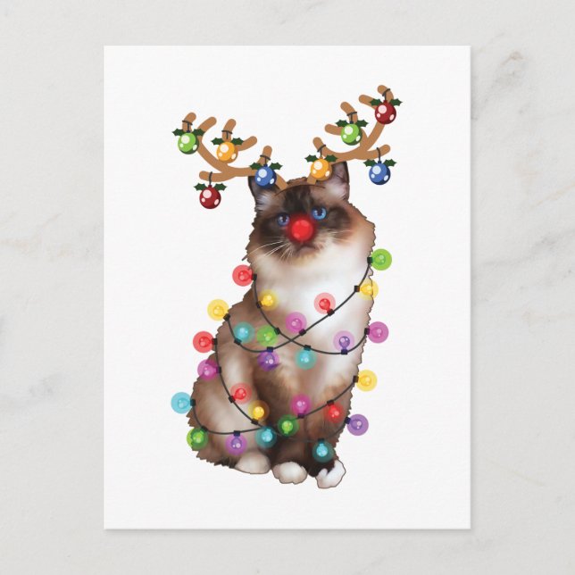 Cute Birman Cat Funny Christmas Holiday Gifts Postcard (Front)