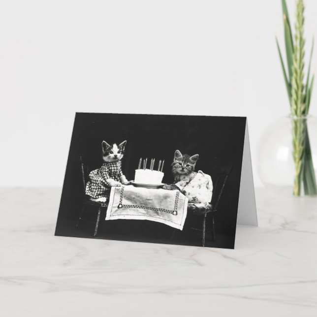 Cute Birthday Cake Cats Card (Front)