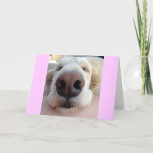 Cute Birthday Card