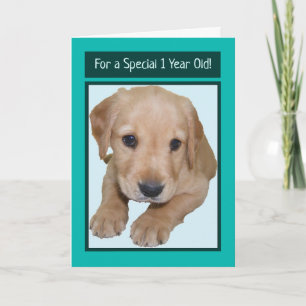 Cute Birthday Card for 1 Year Old Boy