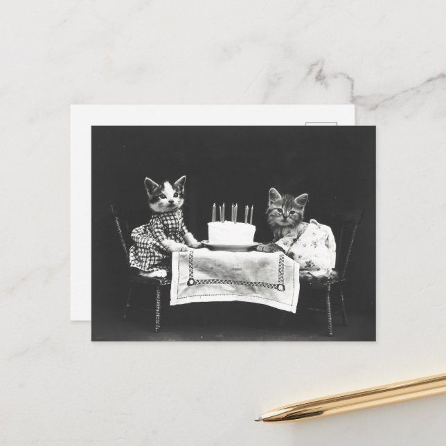 CUTE BIRTHDAY CAT VINTAGE POSTCARD (Front/Back In Situ)