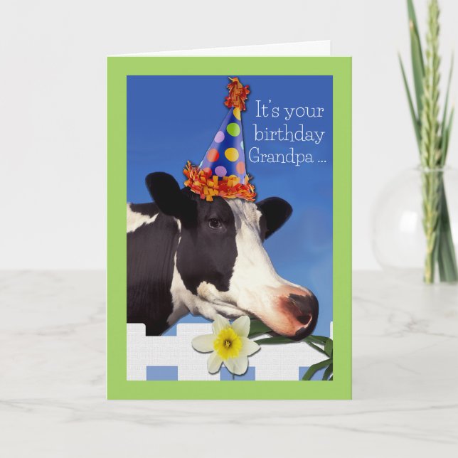 Cute Birthday for Grandpa with Funny Cow Card (Front)