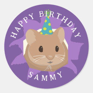Cute Birthday Hamster peeking through hole Classic Round Sticker