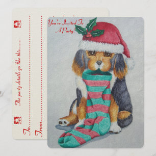 cute black and brown puppy with christmas stocking invitation