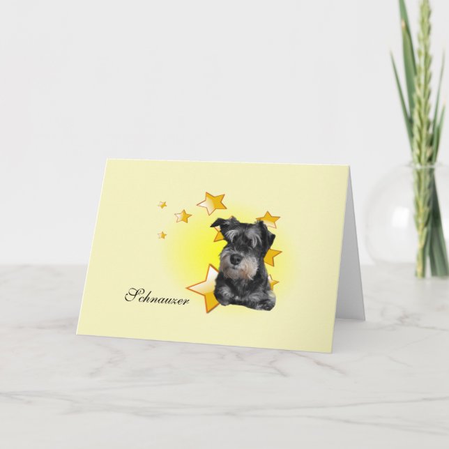 Cute Black and Silver Schnauzer is a Star  Card (Front)