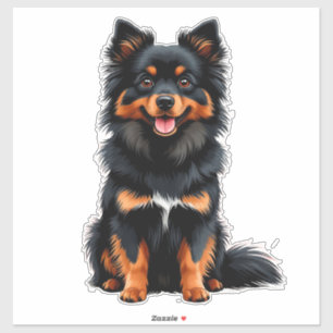 Cute Black and Tan Pomeranian Puppy