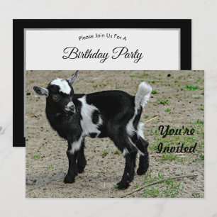Cute Black and White Baby Goat Photo Birthday Invitation