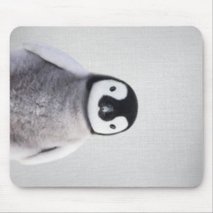Cute Black And White Baby Penguin Mouse Mat