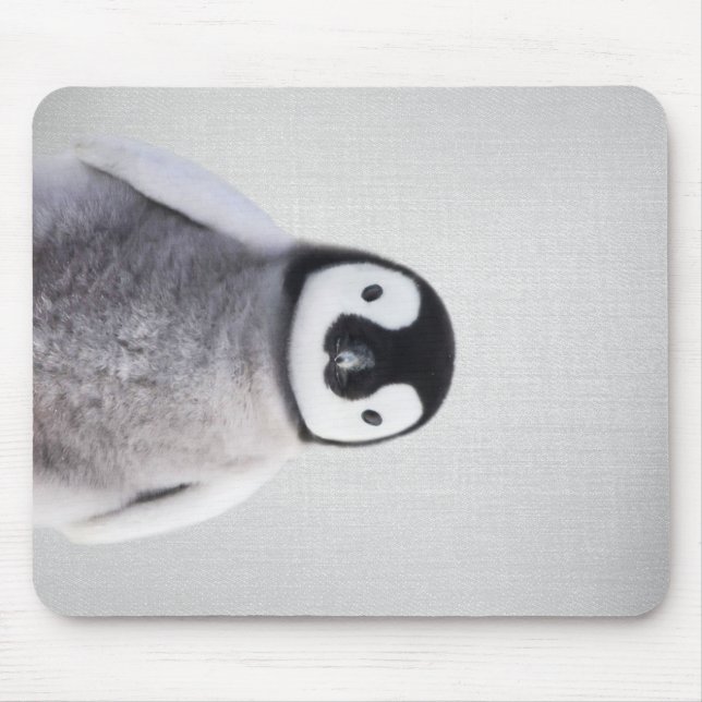 Cute Black And White Baby Penguin Mouse Mat (Front)