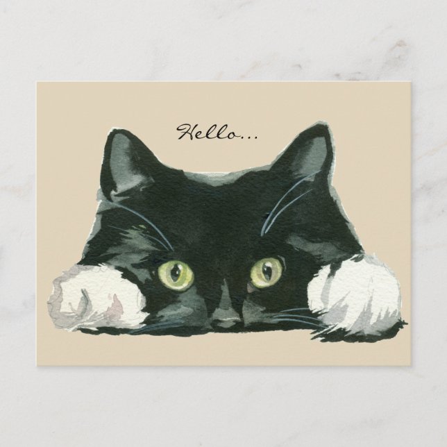 cute black and white cat hello postcard (Front)