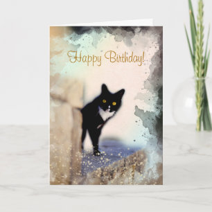 Cute Black and White Cat Personalised Pet Birthday Card