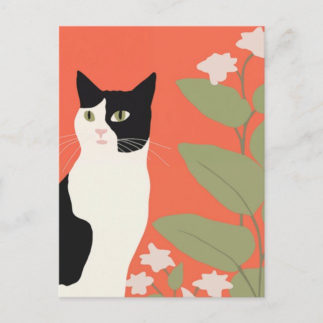Cute Black and White Cat Postcard (Front)