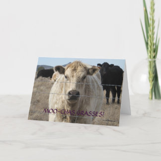 Cute Black and White Cow Thank You - Ranch or Farm Card