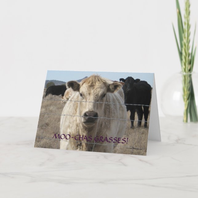 Cute Black and White Cow Thank You - Ranch or Farm Card (Front)