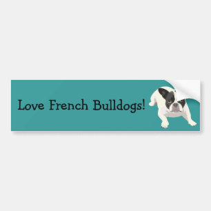 Cute Black and White French Bulldog on Blue Back Bumper Sticker