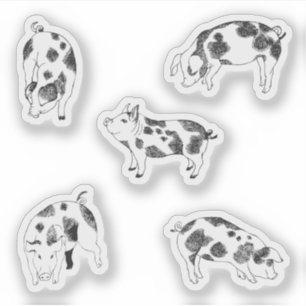 Cute black and white hand drawn pig with cow spots