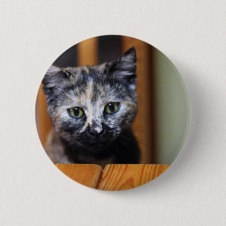 Cute Black and White Kitten 6 Cm Round Badge