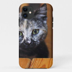 Cute Black and White Kitten iPhone 11 Case