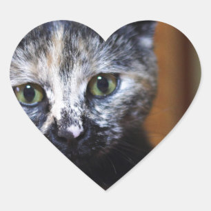 Cute Black and White Kitten Heart Sticker