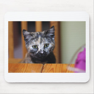 Cute Black and White Kitten Mouse Mat