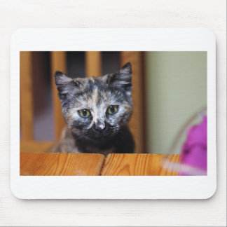 Cute Black and White Kitten Mouse Mat
