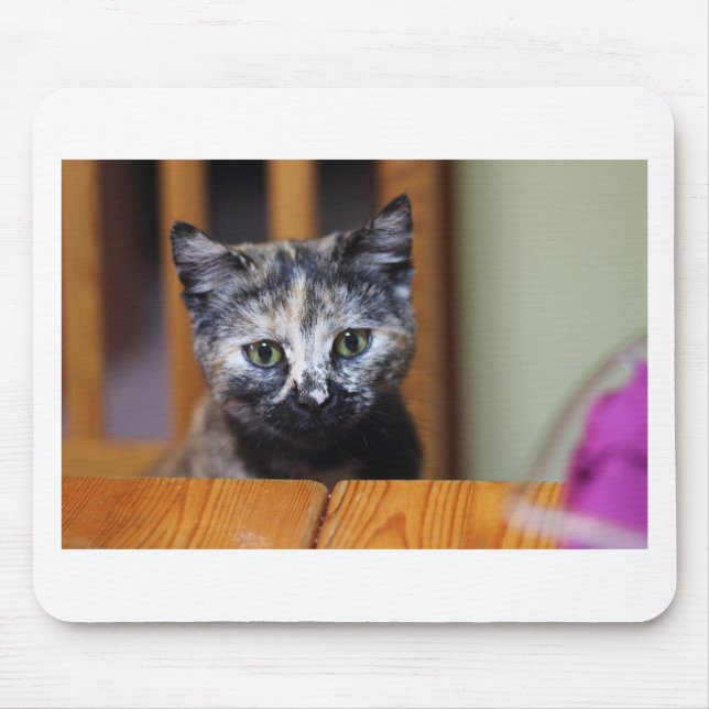 Cute Black and White Kitten Mouse Mat (Front)