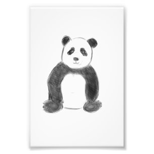 Cute black and white panda sketch photo print