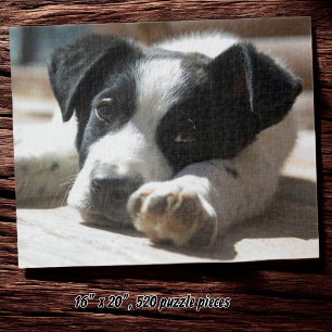 Cute Black and White Puppy Close-Up Photograph Jigsaw Puzzle