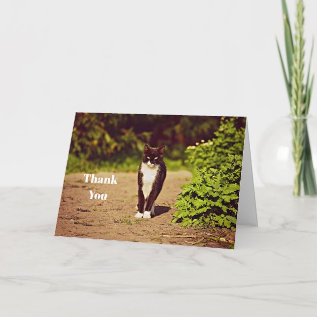 Cute Black and White Tuxedo Cat Photo Thank You Card (Front)