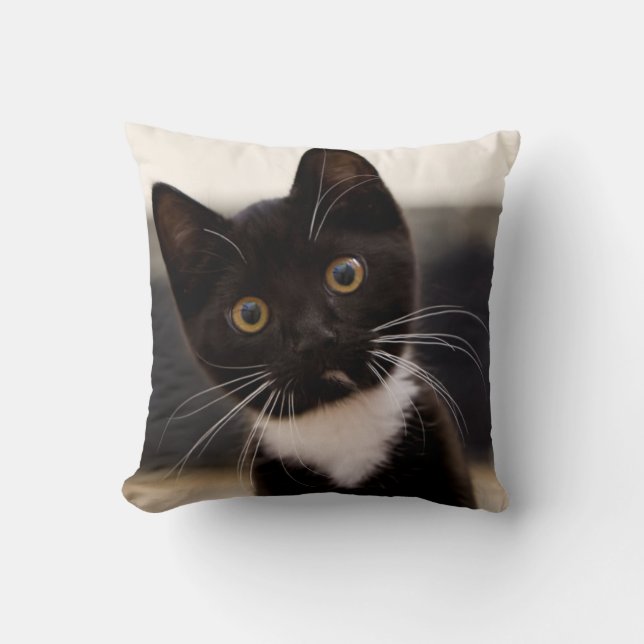 Cute Black And White Tuxedo Kitten Cushion (Front)